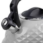 Tetera Clasica Resto Con Silbador 3.0 Lts Acero Inoxidable Induccion Gris