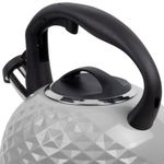 Tetera Clasica Resto Con Silbador 3.0 Lts Acero Inoxidable Induccion Gris